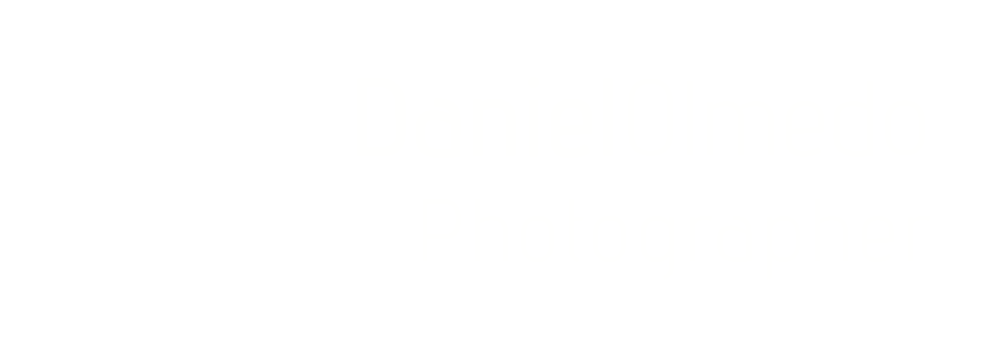 danielolmedophotographer.com