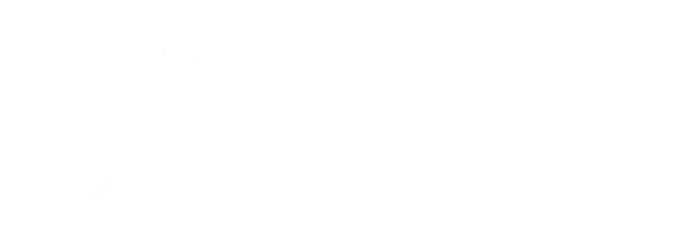 danielolmedophotographer.com